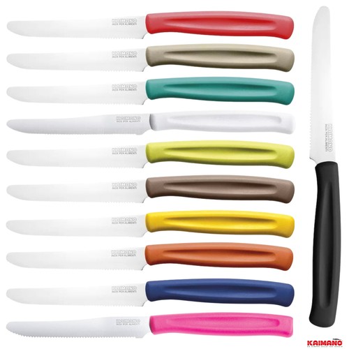 Set coltelli da tavola - coltelli,